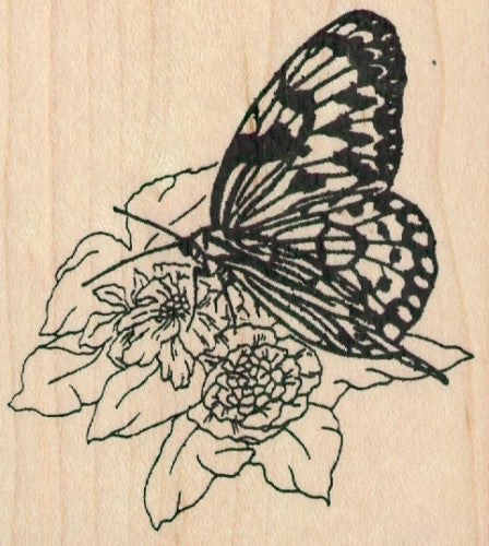 0556J ~ Butterfly on Flower