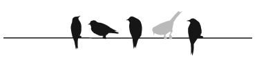 3937H Birds on Wire