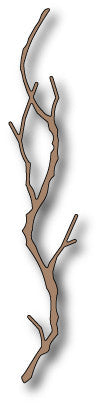 98187 ~ Woodland Branch
