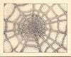 KM0200J Spiderweb Background