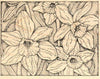KM0260J Delightful Daffodils Background